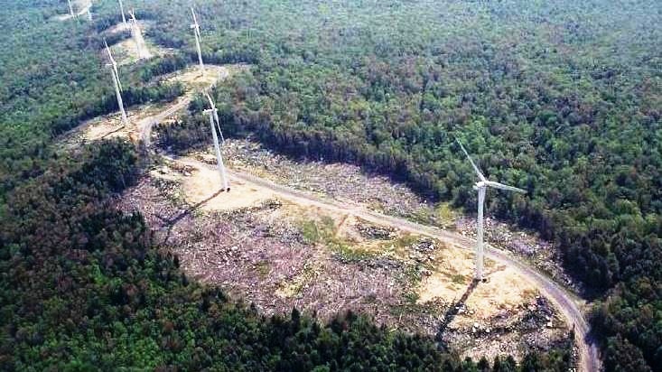 BUND fordeet mehr Windkraft im Wald
